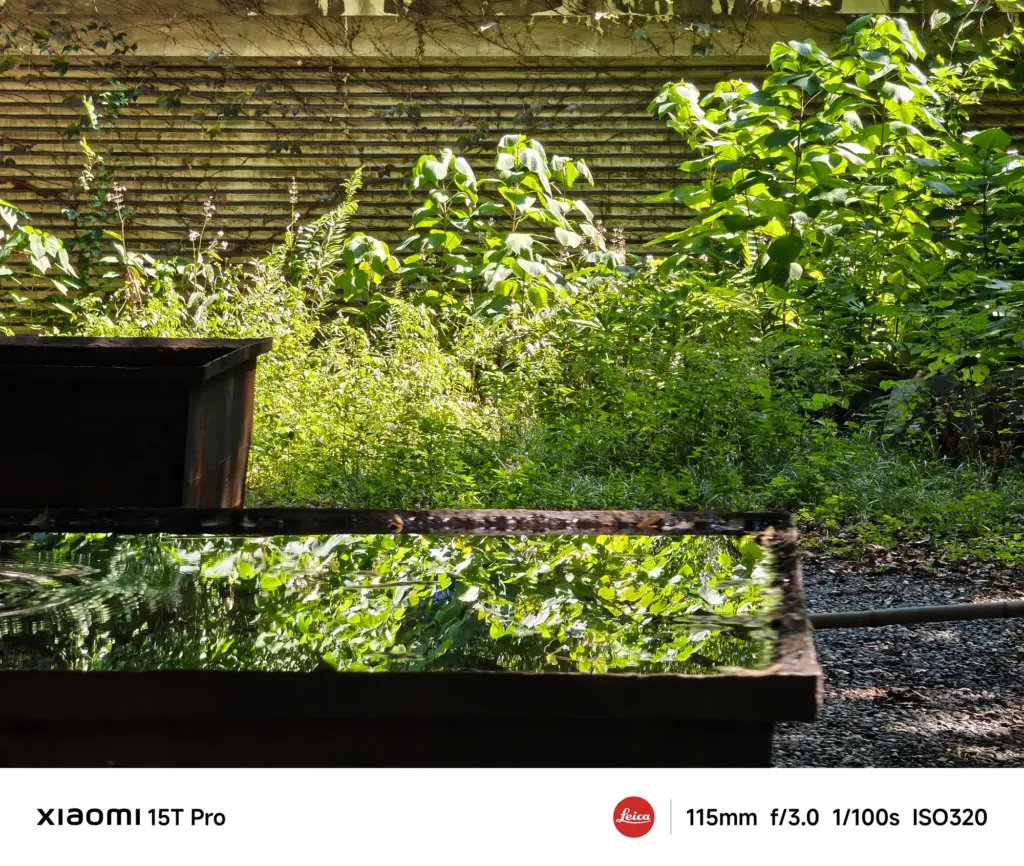 Xiaomi 15T Proの望遠115mm作例：水面に反射した湯島聖堂の鮮やかな緑