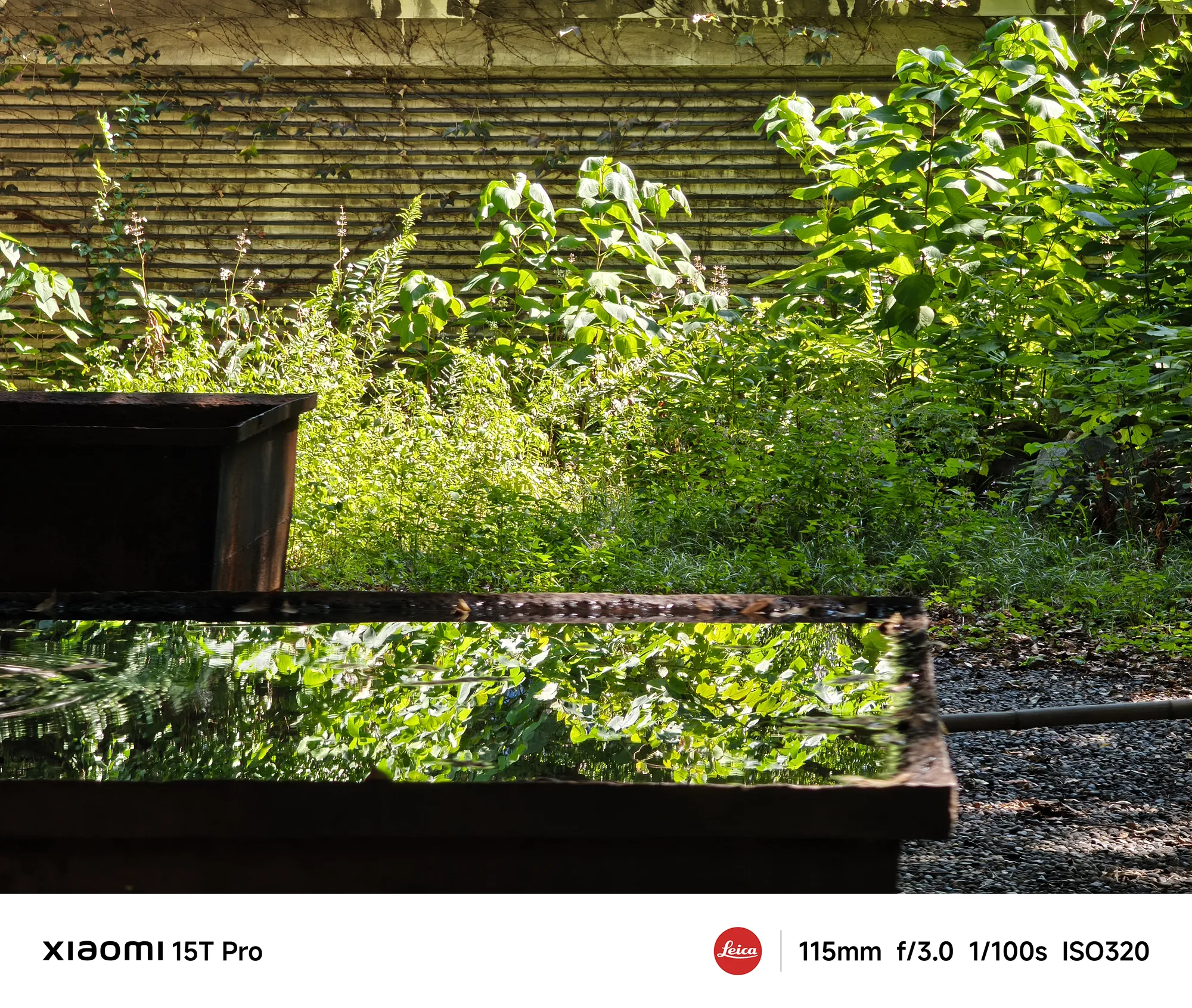 Xiaomi 15T Proの望遠115mm作例：水面に反射した湯島聖堂の鮮やかな緑