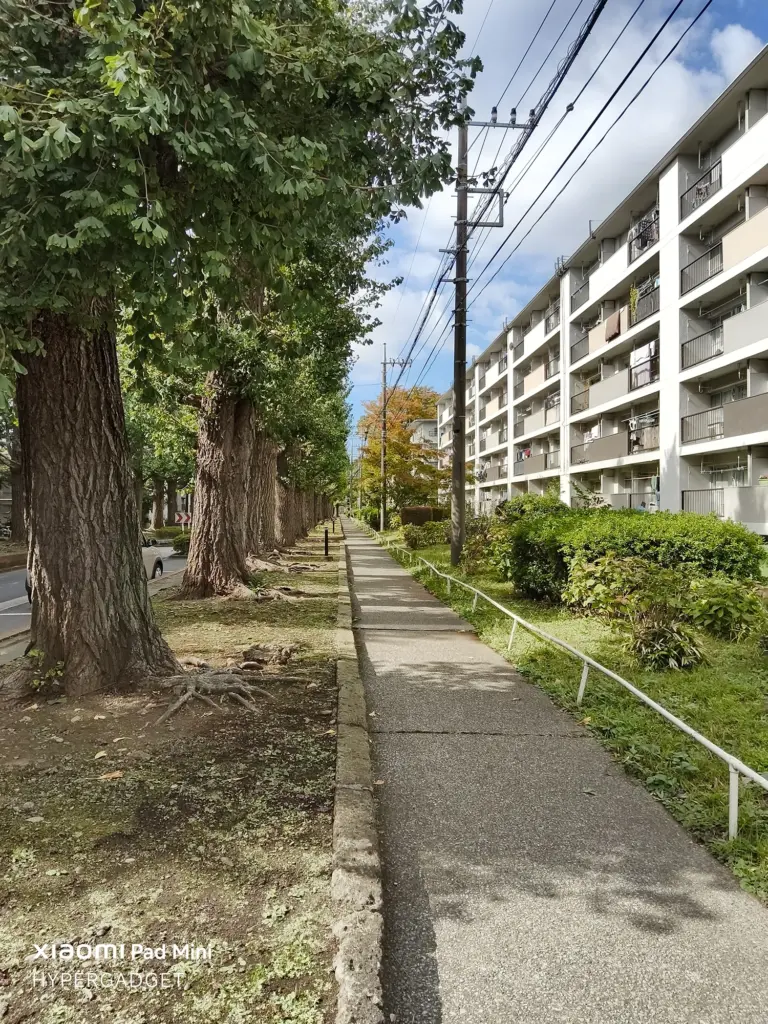 Xiaomi Pad Miniで撮影された、並木道と集合住宅が並ぶ屋外風景写真。舗装された歩道が奥に伸び、空の青さや建物のディテールが描写されている作例。
