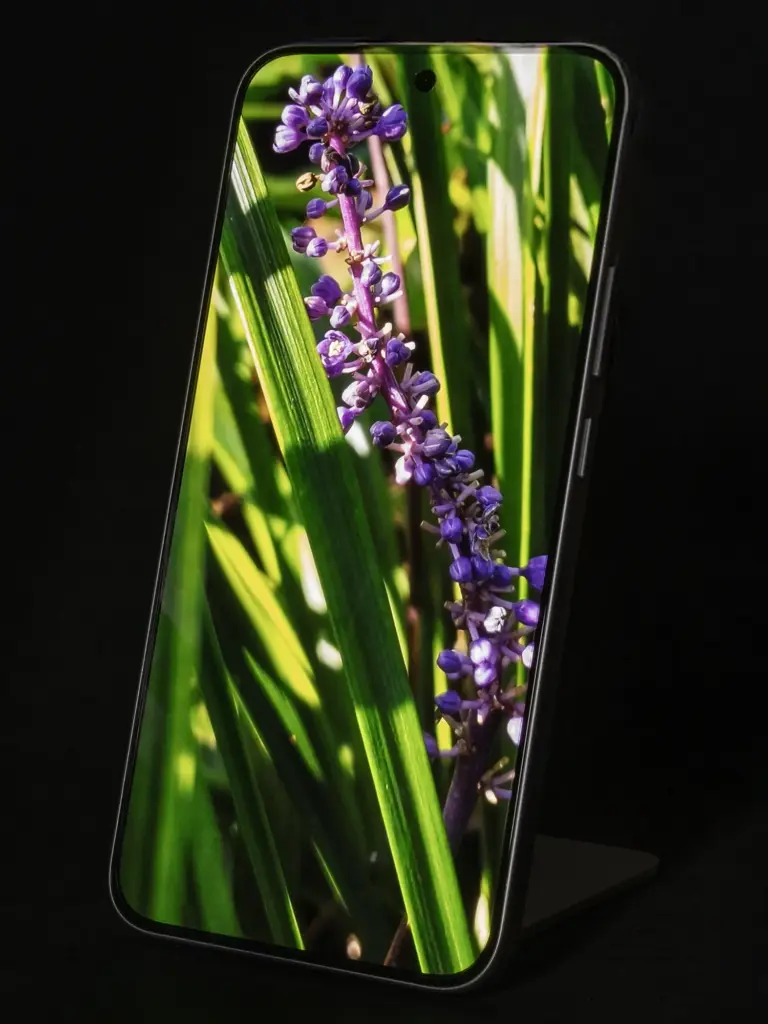 Xiaomi 15Tのディスプレイに紫の花と緑を表示