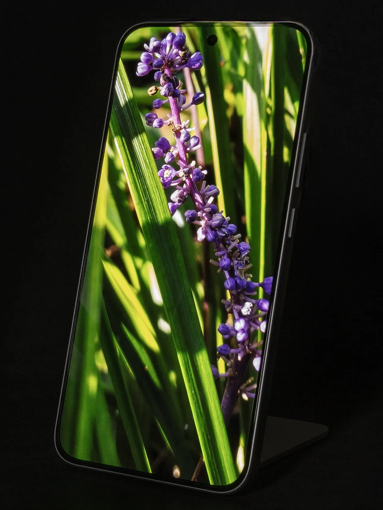 Xiaomi 15Tのディスプレイに紫の花と緑を表示