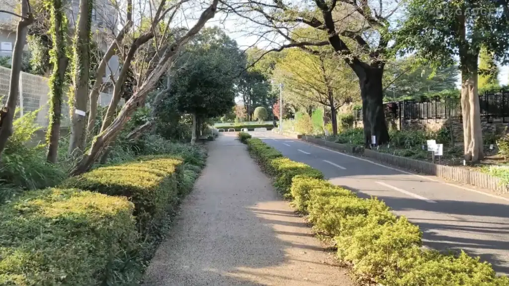 Xiaomi 15Tで動画撮影。公園や庭園内の散歩道。砂利の歩道が中央にまっすぐ伸び、両脇は低木で縁取られ、さらにその外側を大きな木々が覆っている。右奥には車道が見える。