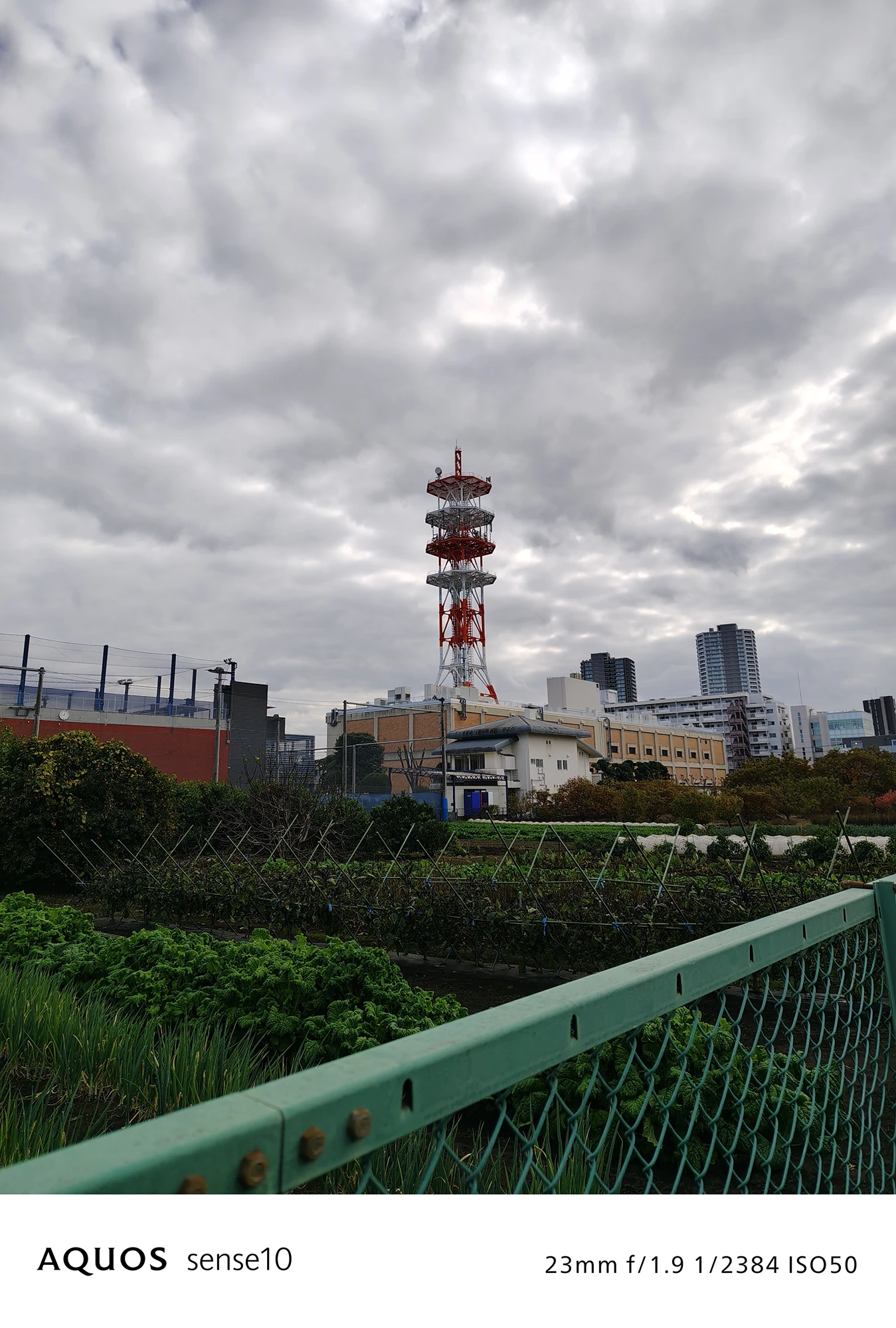 AQUOS sense10撮影サンプル：23mm広角で捉えた都市風景と鉄塔のコントラスト（f/1.9 ISO50）