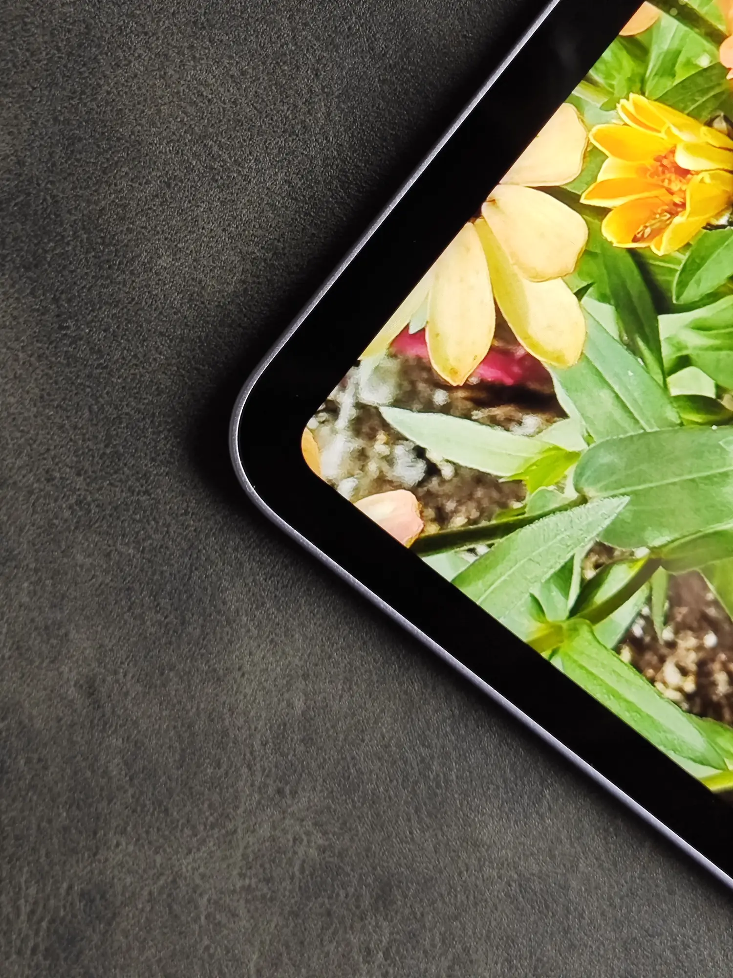 ベゼルが狭く、角が丸いタブレットのディスプレイ右下隅のクローズアップ。画面には鮮やかな黄色の花の写真が表示されている。