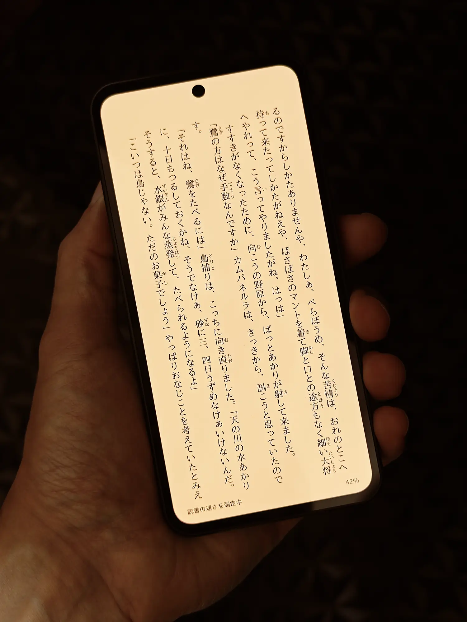 スマートフォン本体を片手で持ち、日本語の小説（電子書籍）を表示している写真。パンチホールカメラを避けた縦書きのテキストが画面いっぱいに表示されており、読書時の高い没入感と、テキストの高い視認性を示す。狭いベゼルと、小説を長時間読むための目に優しい設計がアピールされている。