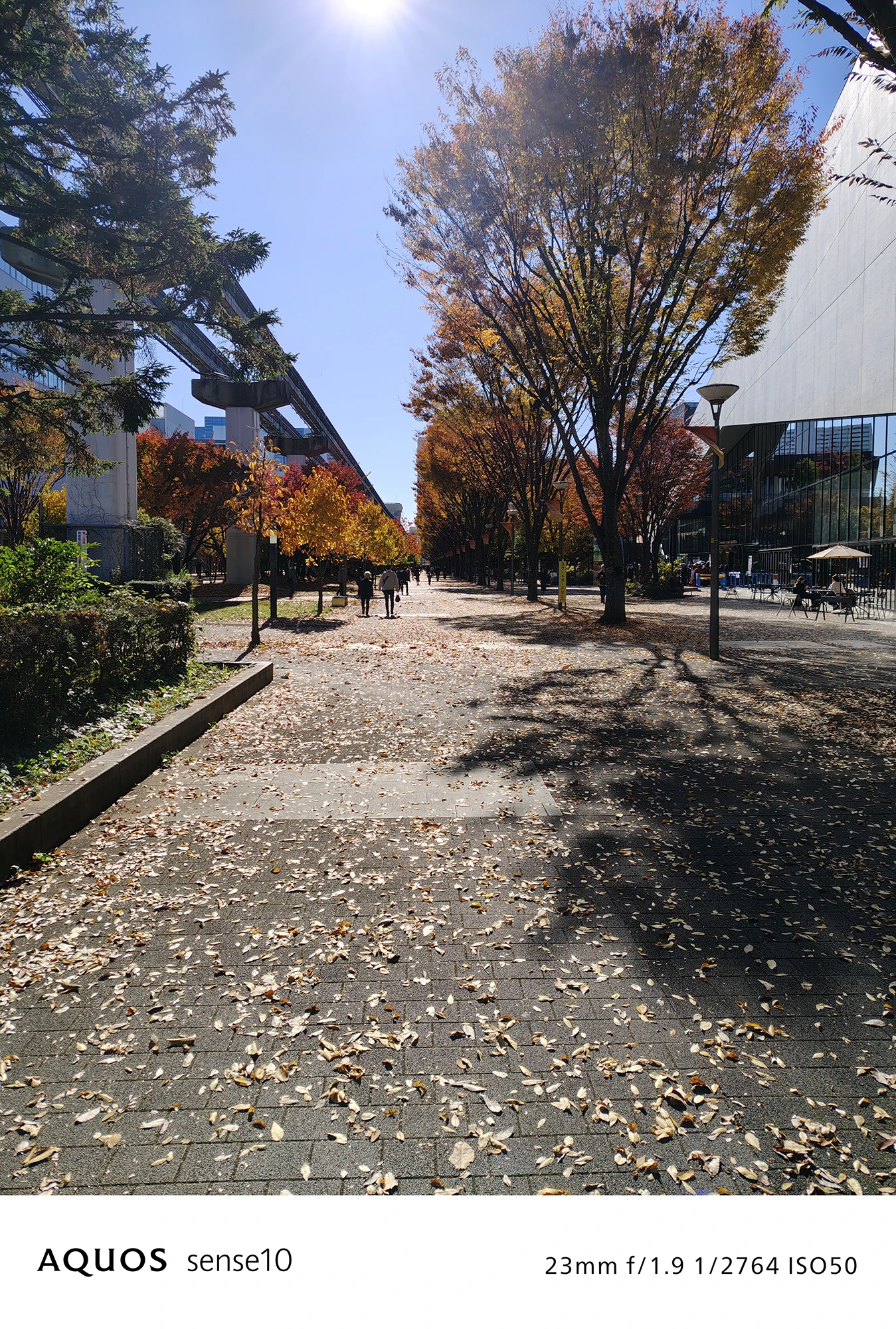 AQUOS sense10撮影サンプル：秋の並木道の風景と高架（23mm f/1.9 ISO50）