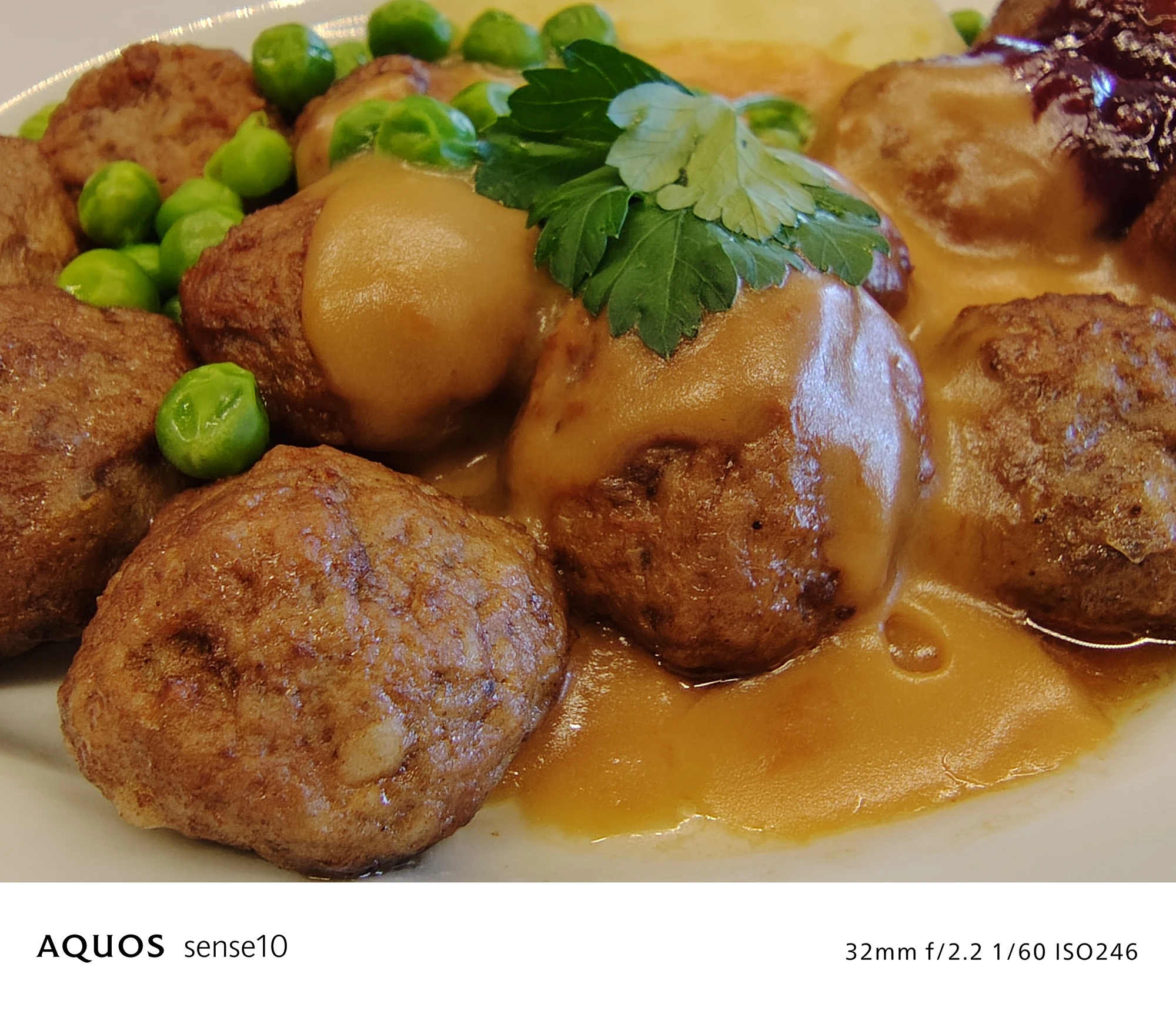 AQUOS sense10 撮影サンプル　ミートボールとソース（クローズアップ、料理）	32mm f/2.2 1/60 ISO246