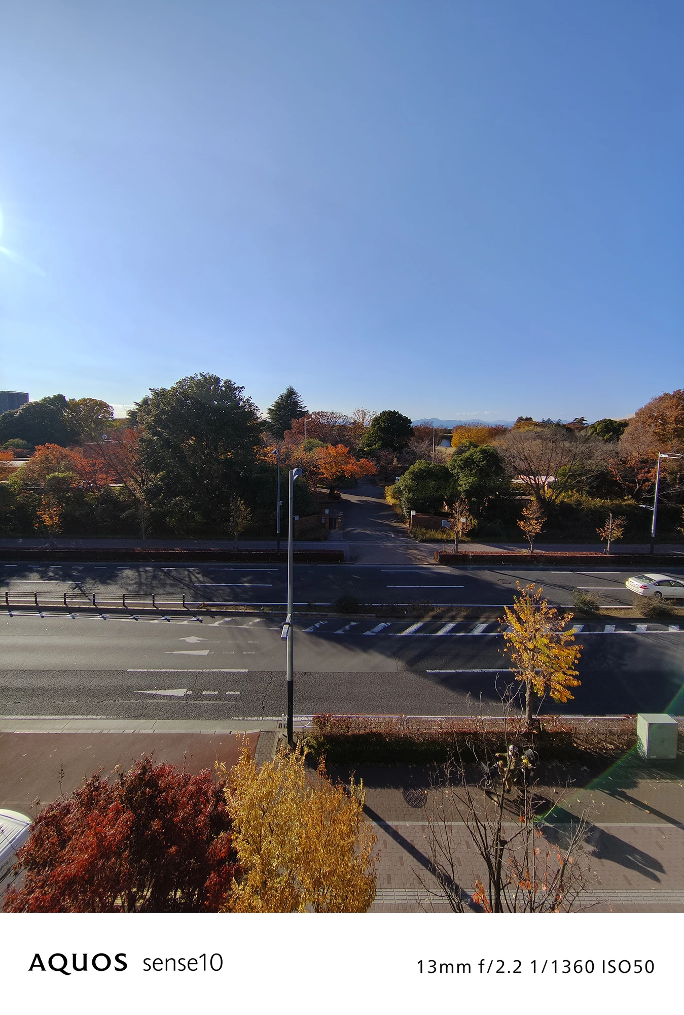 AQUOS sense10広角撮影サンプル：日中の街路樹と青空（13mm f/2.2 ISO50）