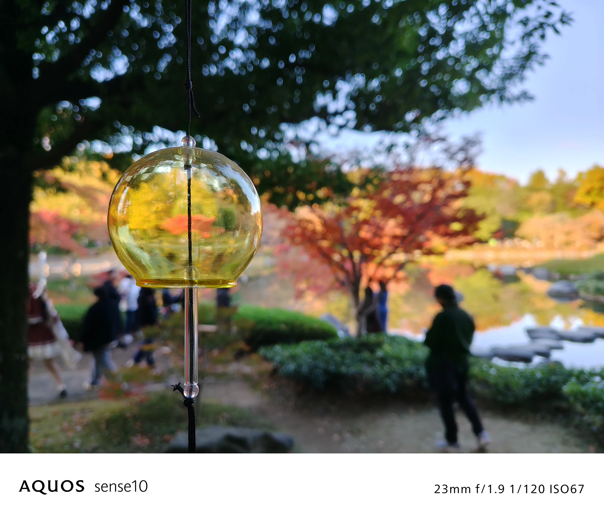 AQUOS sense10撮影サンプル：ガラスの風鈴に背景が映り込むクローズアップ（23mm f/1.9 ISO67）