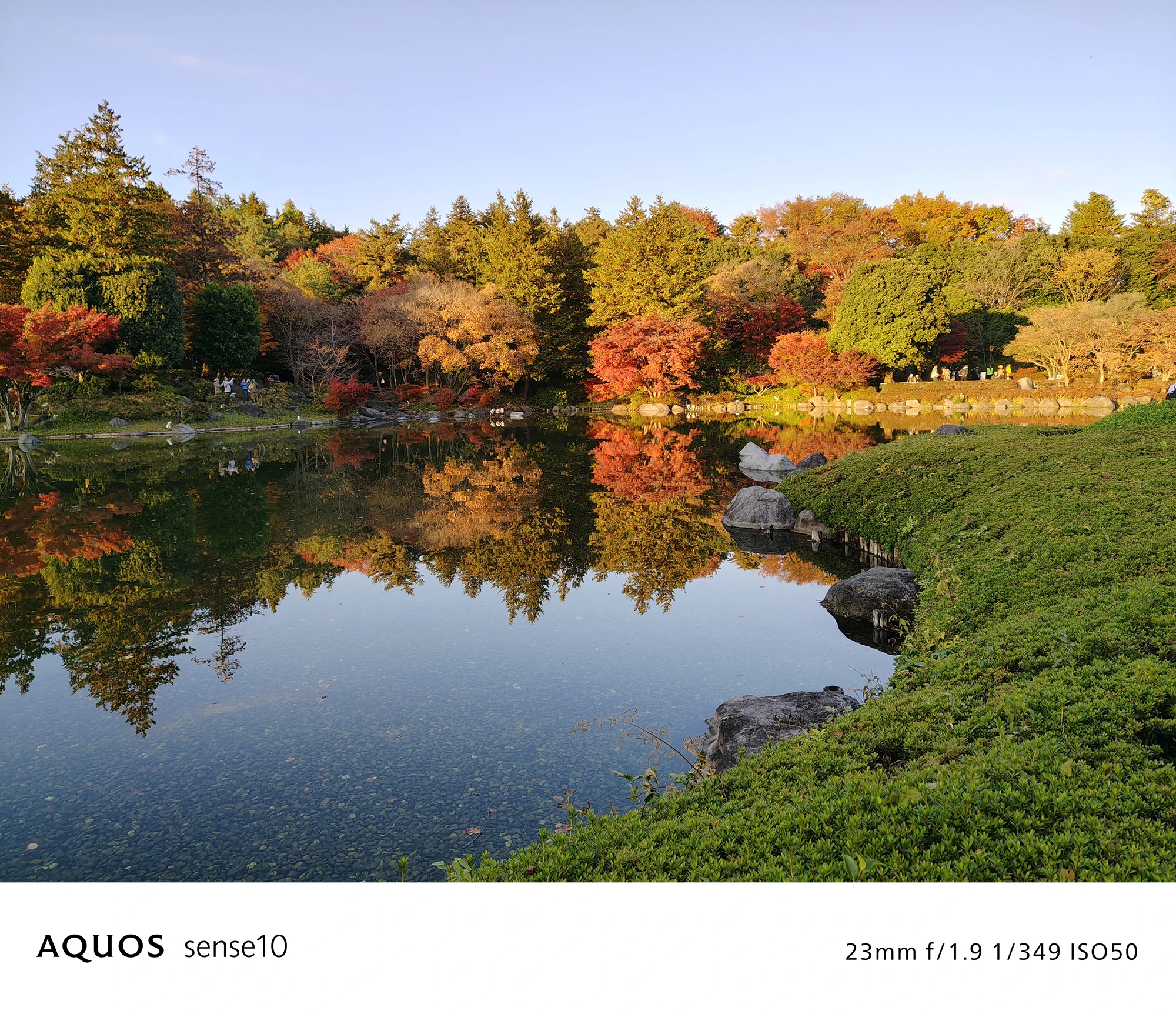 AQUOS sense10撮影サンプル：手前の緑と奥の紅葉のコントラスト（23mm f/1.9 ISO50）