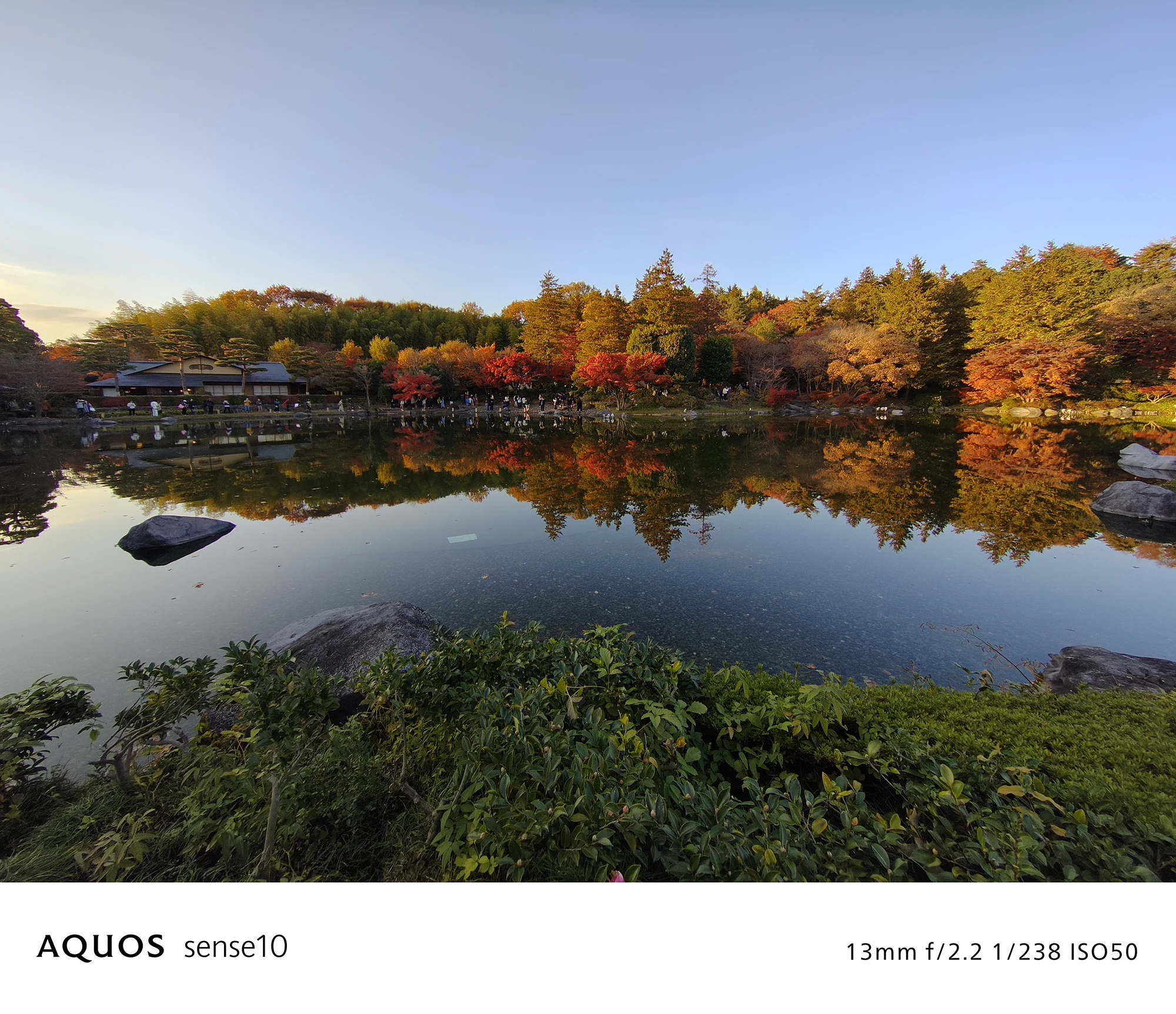 AQUOS sense10で撮影された、紅葉した木々が水面に映る池の広角風景写真。13mm f/2.2 1/238 ISO50の撮影情報が付記されている。鮮やかな紅葉の色と、水面のクリアな反射、空の青さが美しく、広角撮影における色再現性と風景撮影能力の高さを示す。