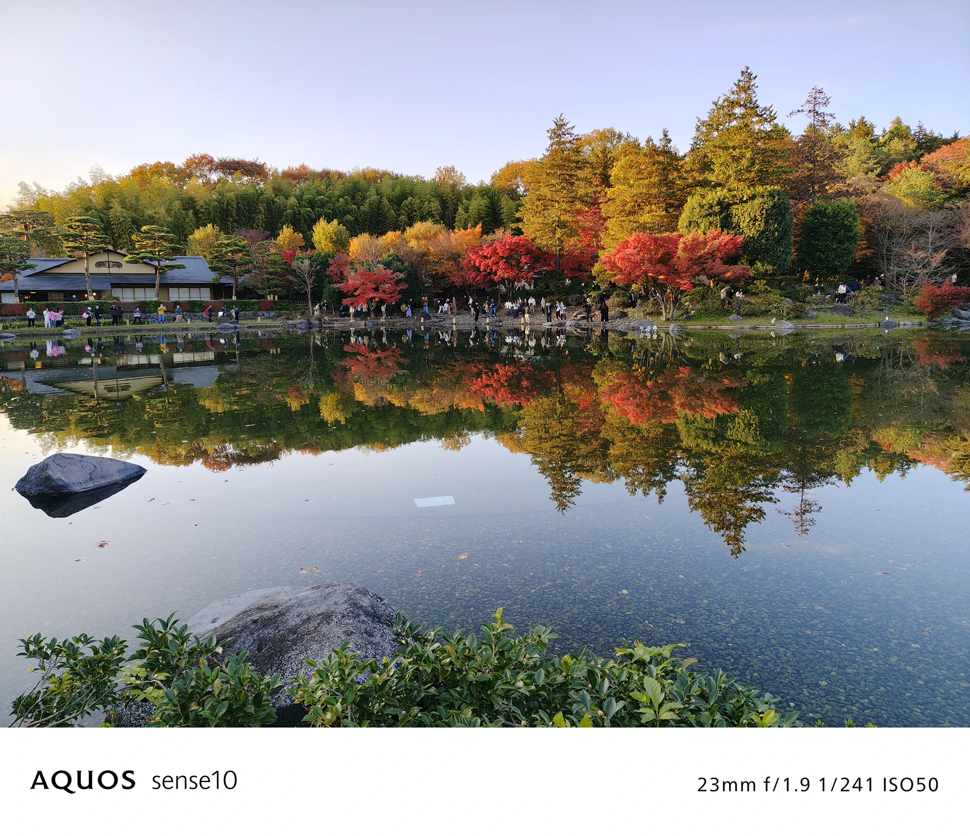 AQUOS sense10撮影サンプル：池に紅葉が映り込むリフレクション写真（23mm f/1.9 ISO50）