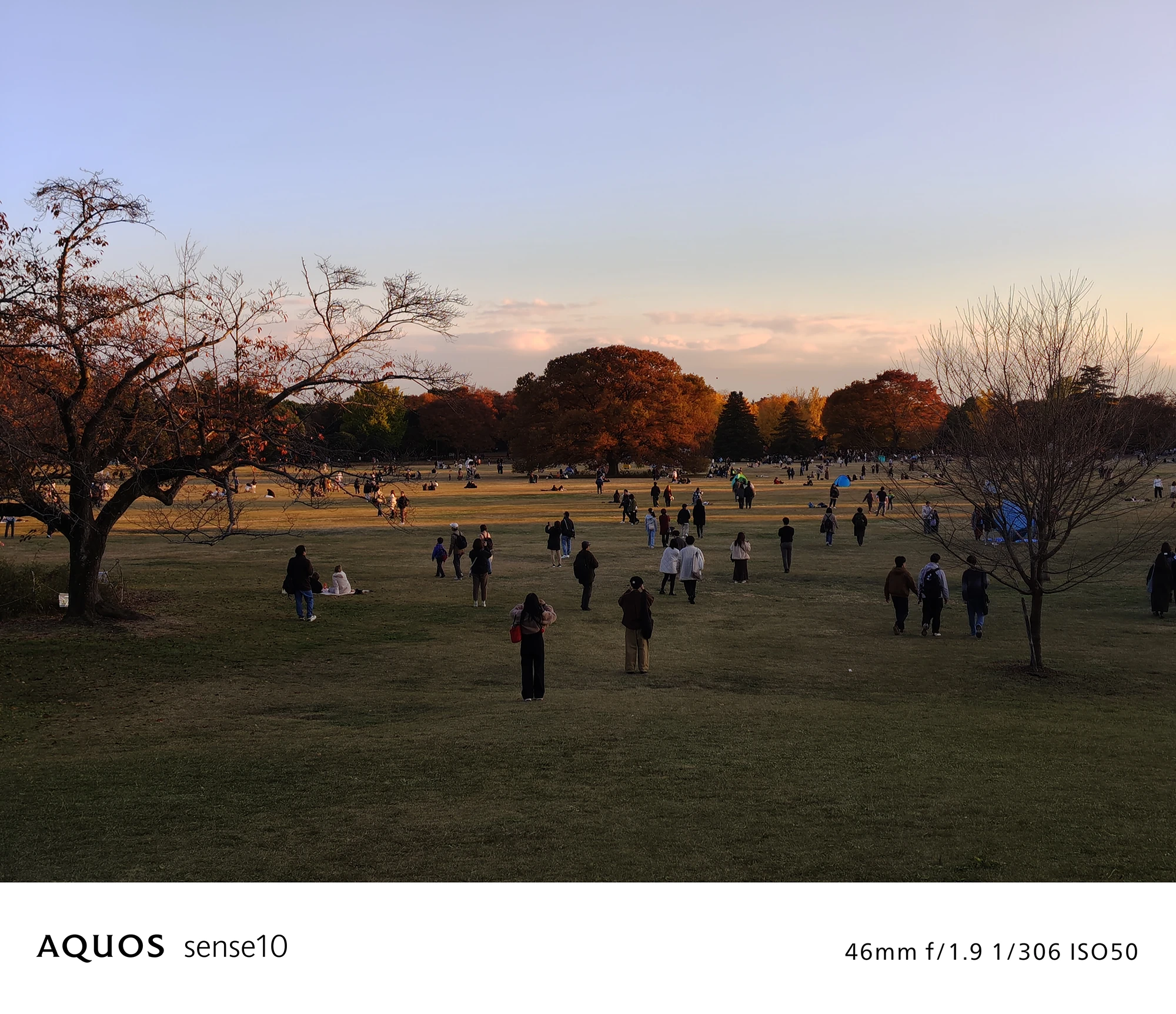 AQUOS sense10撮影サンプル：2倍ズームで捉えたトワイライトの広場（46mm f/1.9 ISO50）