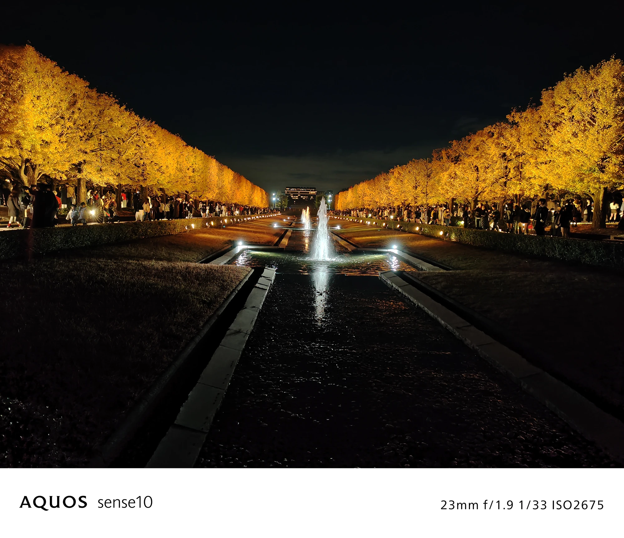 AQUOS sense10撮影サンプル：広角で捉えた夜の噴水と並木道のライトアップ（f/1.9 ISO2675）