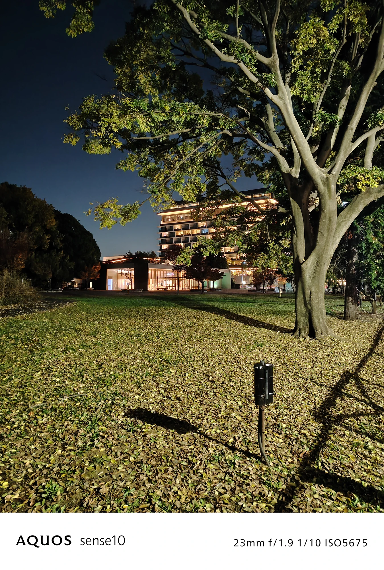 AQUOS sense10撮影サンプル：広角で捉えた**夜の芝生広場と遠景のホテル（または高層ビル）**（f/1.9 ISO5675）