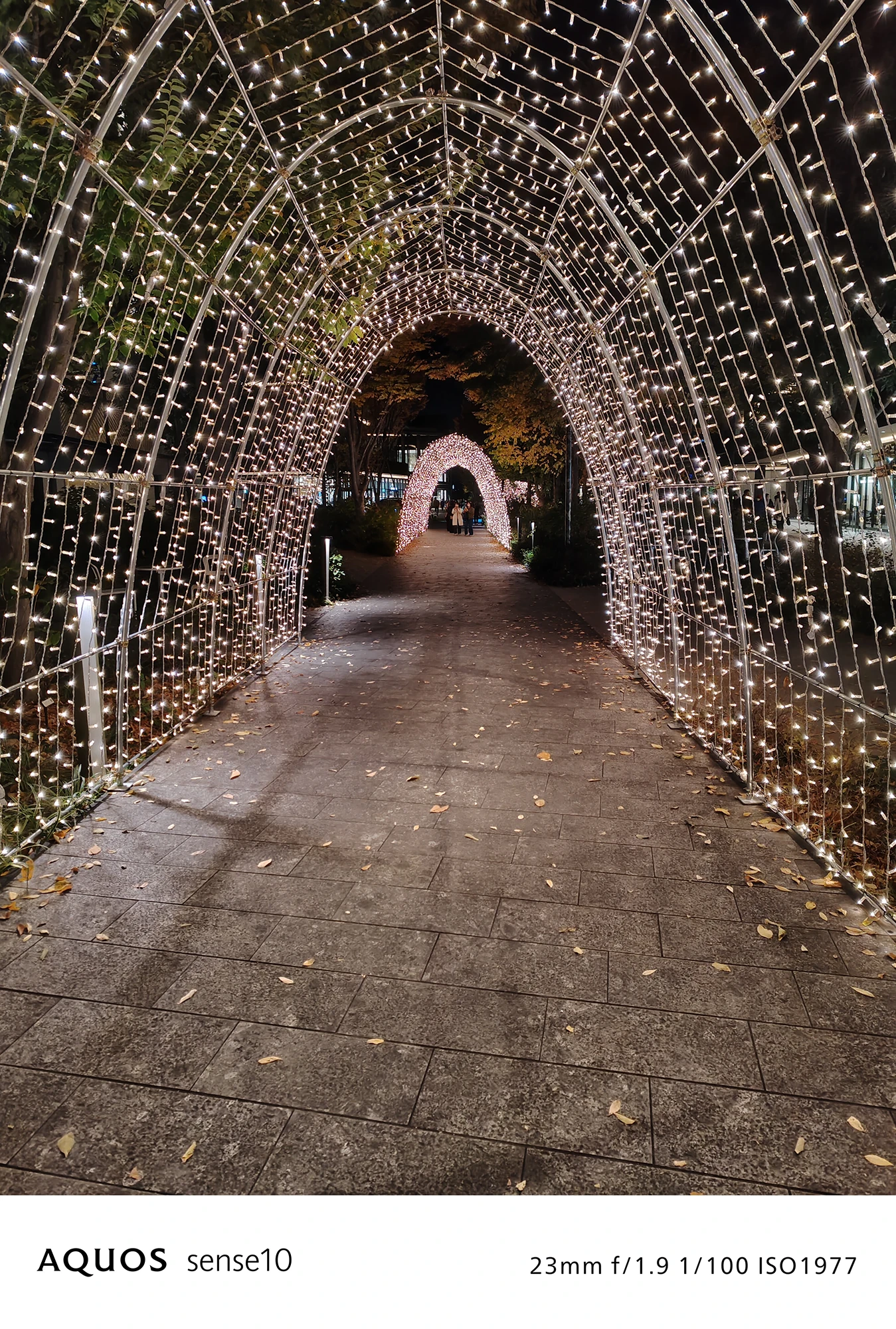 AQUOS sense10撮影サンプル：広角で捉えた**イルミネーションの光のトンネル**（f/1.9 ISO1977）