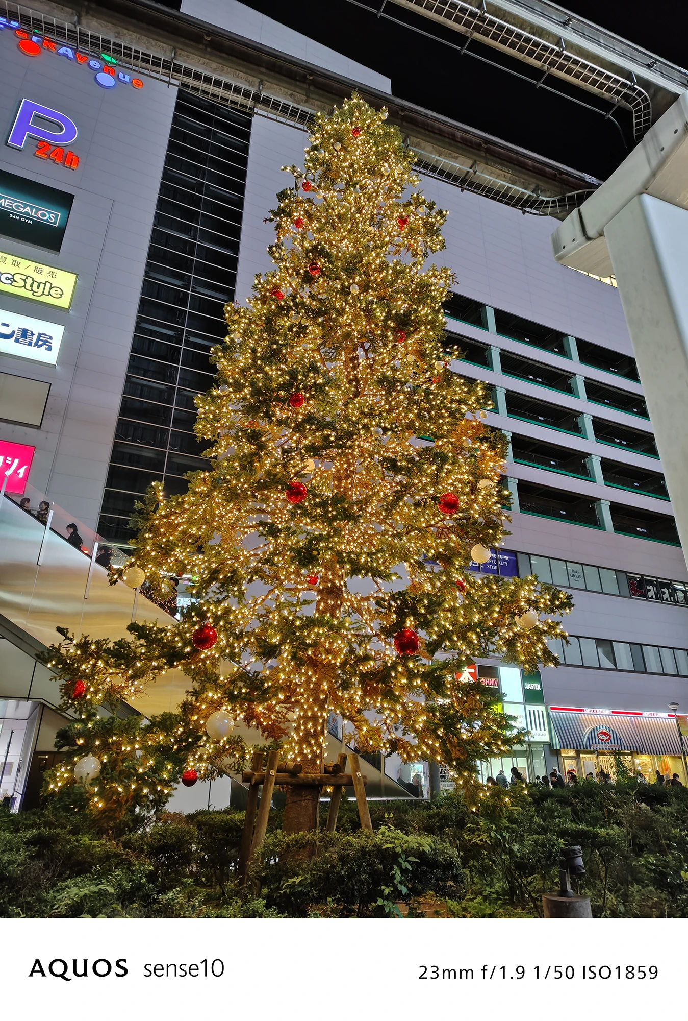 AQUOS sense10 撮影サンプル　クリスマスツリーのイルミネーションと商業ビルf/1.9 1/50 ISO1859