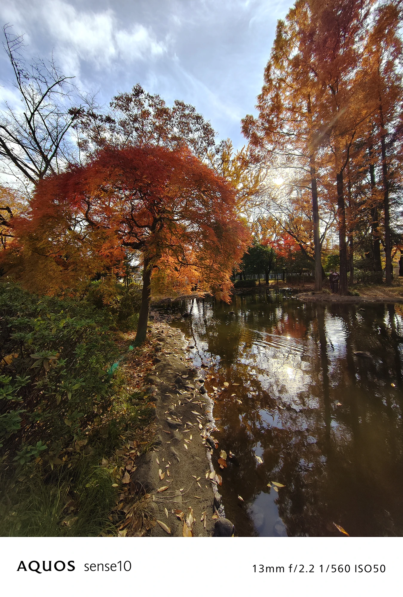 AQUOS sense10広角撮影サンプル：水面に映る紅葉と青空（13mm f/2.2 ISO50）