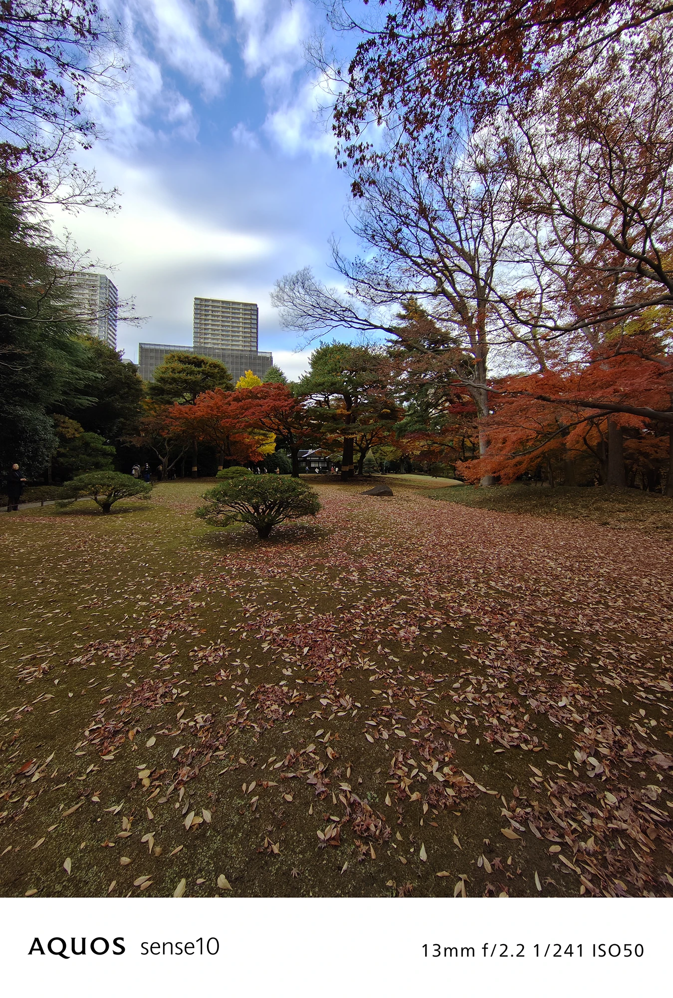 AQUOS sense10撮影サンプル：ビルが見える公園の広角風景写真（13mm f/2.2 ISO50）