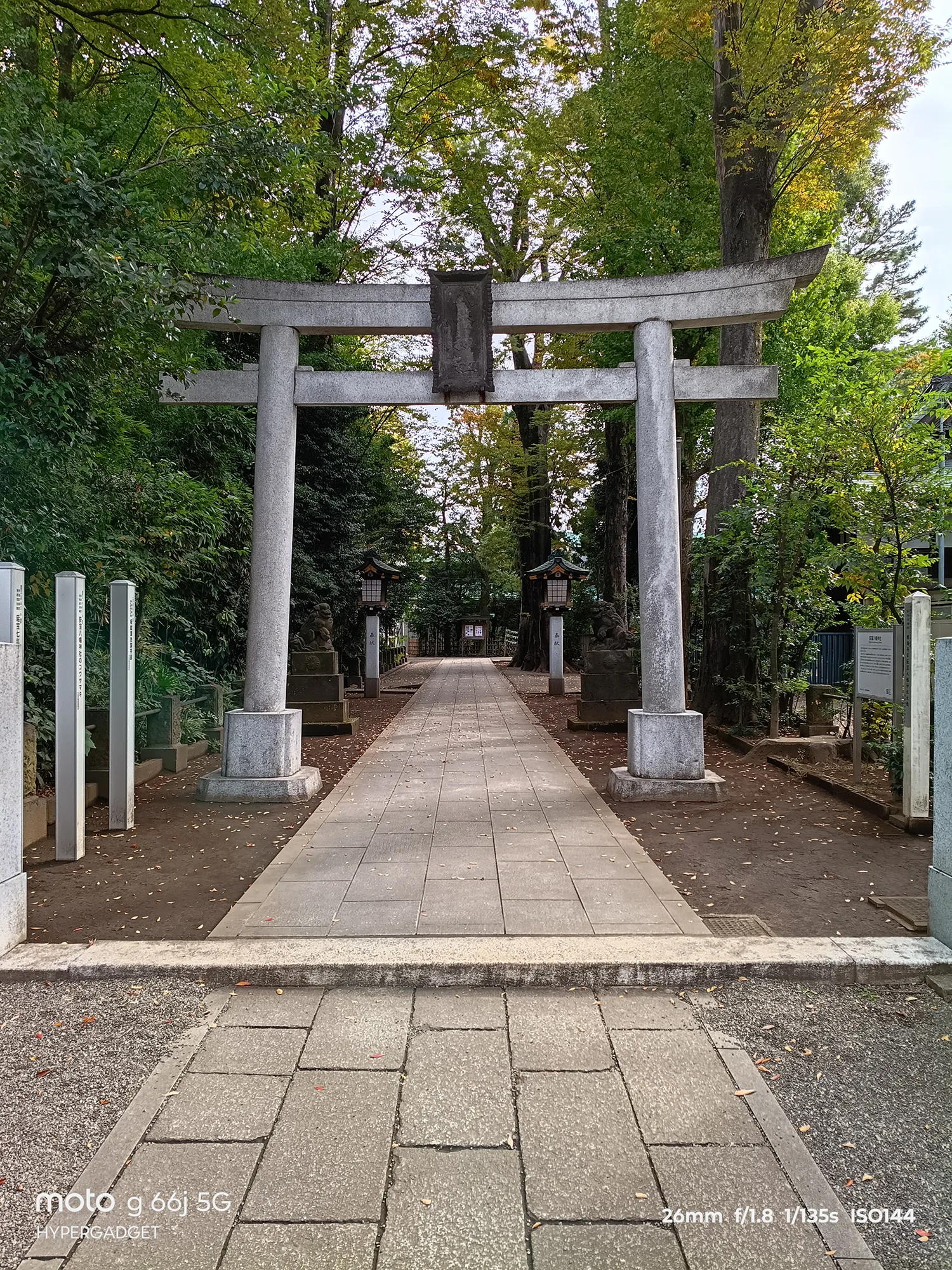 moto g66j 5Gのカメラ作例：緑に囲まれた荻窪八幡神社の石の鳥居と参道を正面から撮影。遠近感と石の質感をレビュー