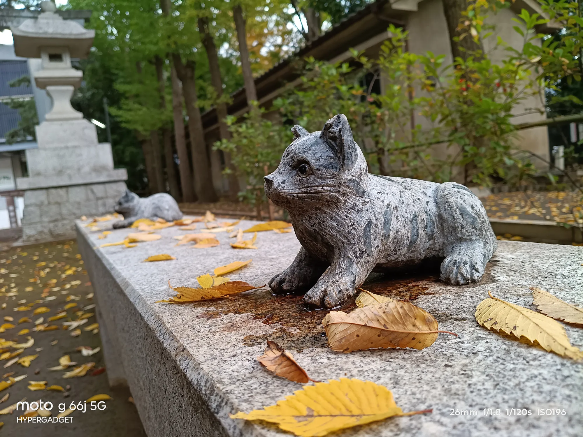 moto g66j 5Gのカメラ作例：石造りの猫の置物をクローズアップ。落ち葉の色彩と石材の質感描写をレビュー