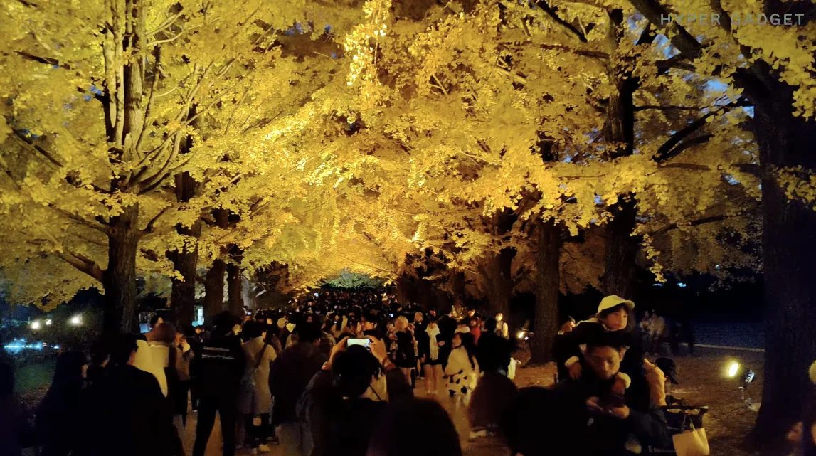 ライトアップされた銀杏並木と群衆