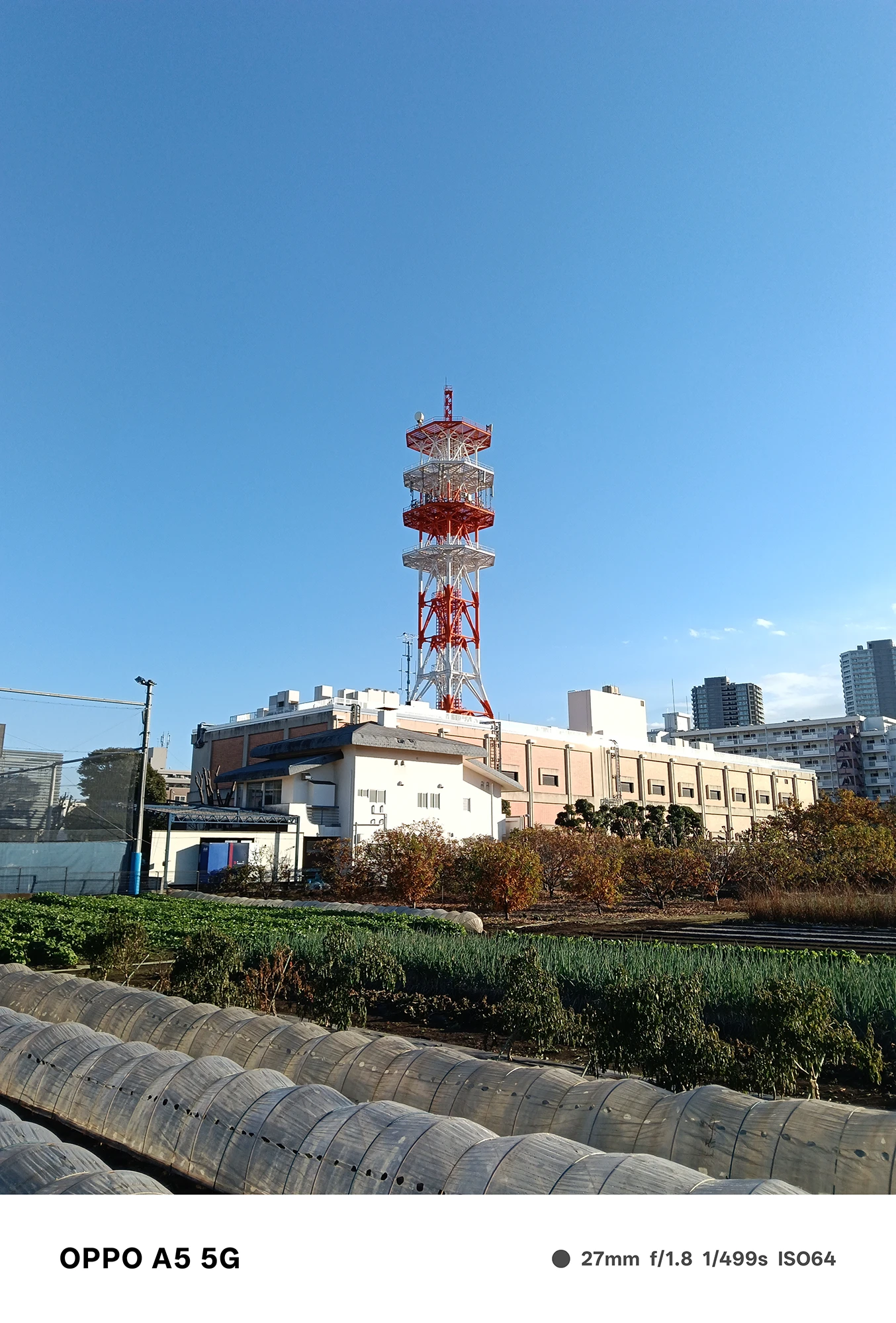 OPPO A5 5Gで撮影した通信塔と農地の風景。澄んだ青空の下、建物と塔の構造を広角でクリアに捉えた風景写真