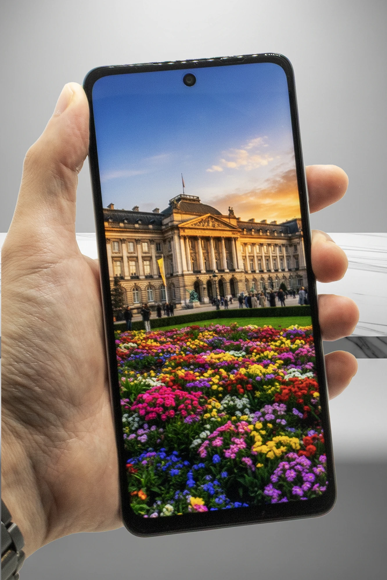 手に持たれたOPPO A5 5Gのディスプレイに、手前の色鮮やかな花畑とその奥にある歴史的宮殿の風景写真が表示されている。ディスプレイ上部中央にはパンチホール型のフロントカメラが見える。