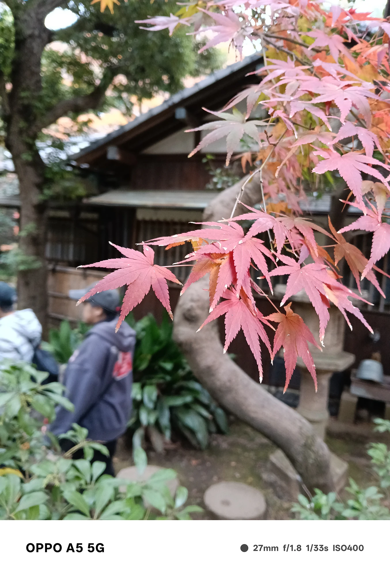 OPPO A5 5Gで撮影した赤い紅葉の接写。背景に古民家と人物が柔らかくぼけ、立体感と色分離性能を確認できる秋の作例