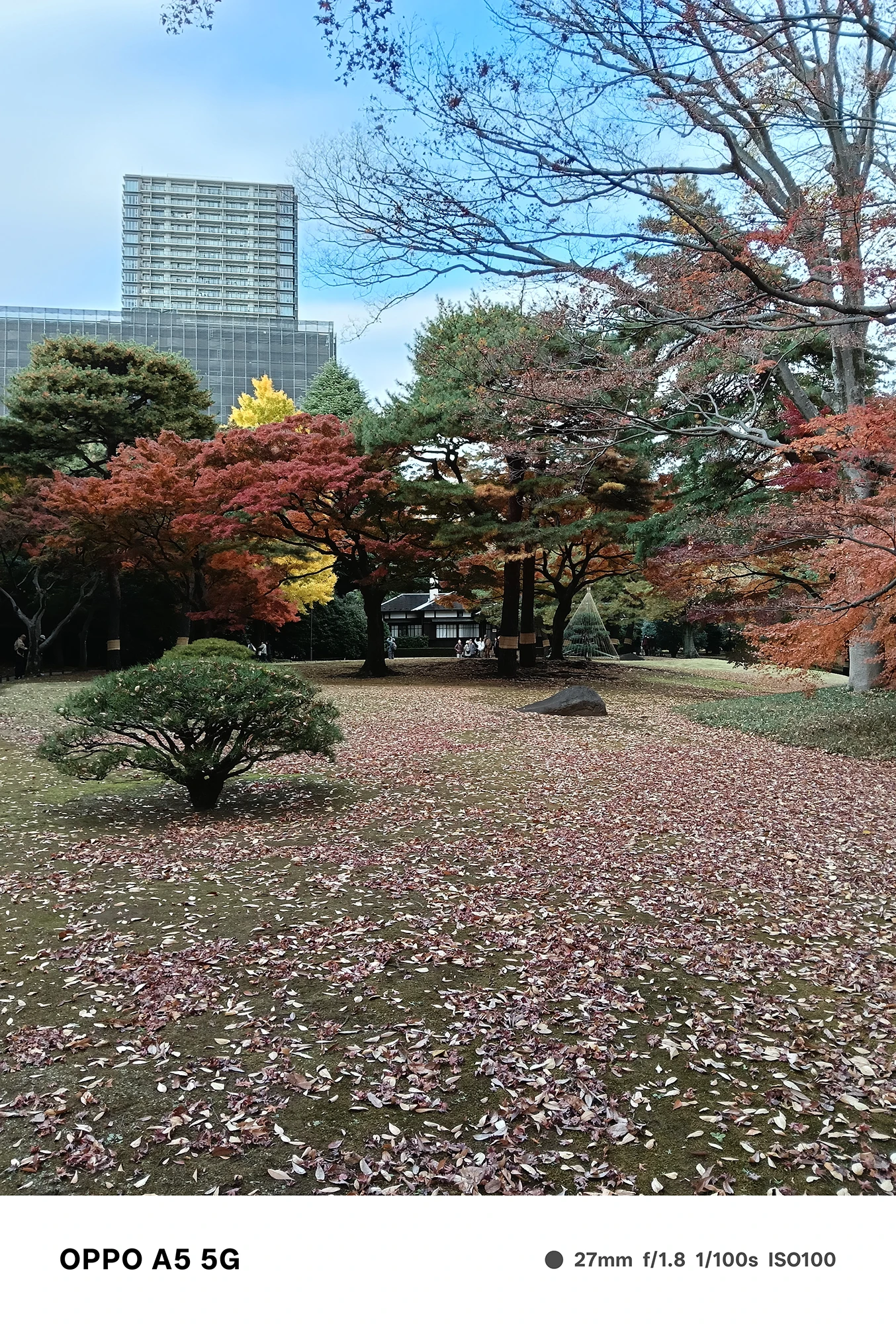 OPPO A5 5Gで撮影した公園の遠景。赤・黄・緑の木々が並ぶ広い芝生の秋景色を自然な発色で描いた風景写真