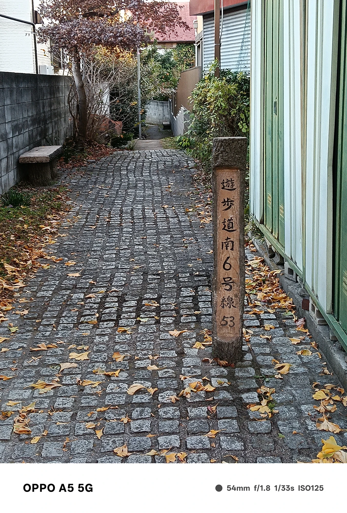 OPPO A5 5Gで撮影した石畳の細い路地と道標柱。落ち葉が散り積もる穏やかな小径の雰囲気を自然に捉えた風景写真