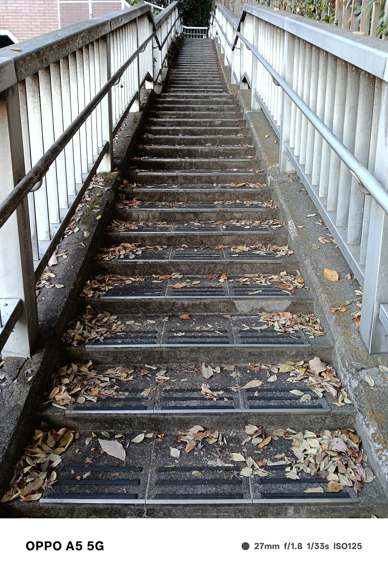 OPPO A5 5Gで撮影した歩道橋の階段。落ち葉が積もったディテールが高精細に写り、質感表現の精度が分かる作例