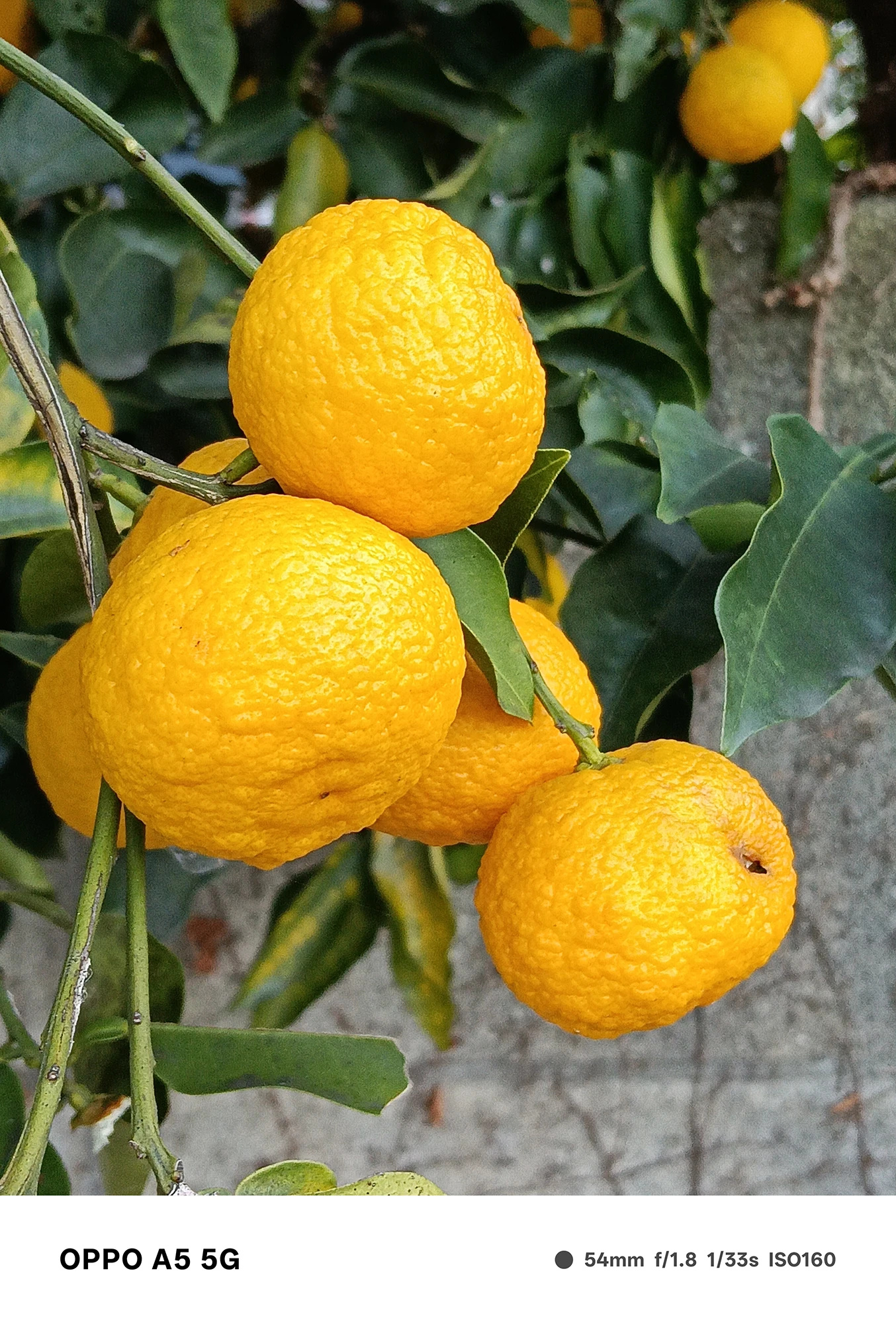 OPPO A5 5Gで撮影した夕方の住宅街の遠景。赤く染まった道路と建物が連なる街並みを、高台から広角で鮮明に捉えた風景写真