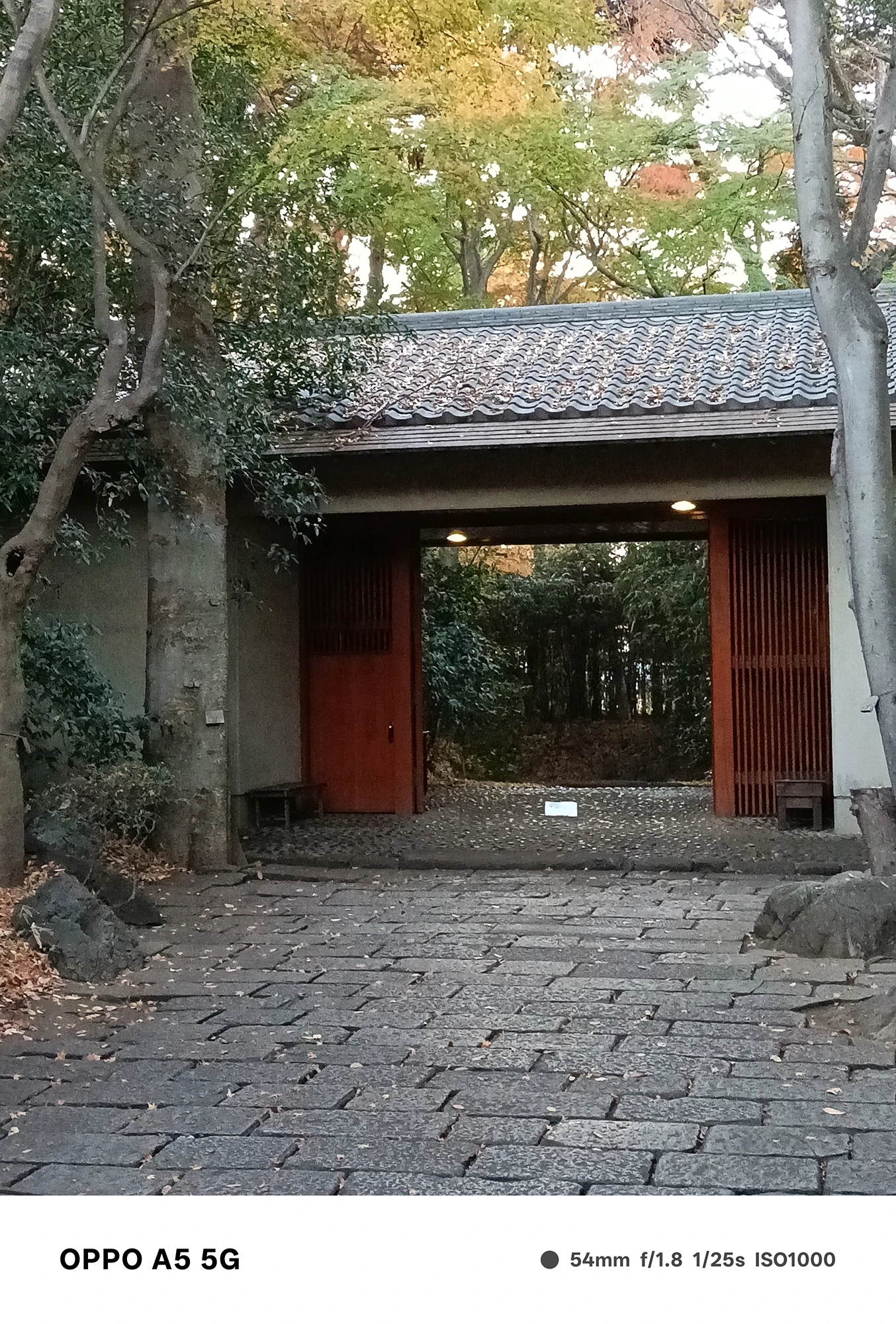 OPPO A5 5Gで撮影した和風の門構え。周囲の木々と落ち着いた光の中で、木製の格子戸と石畳が自然に描写された風景