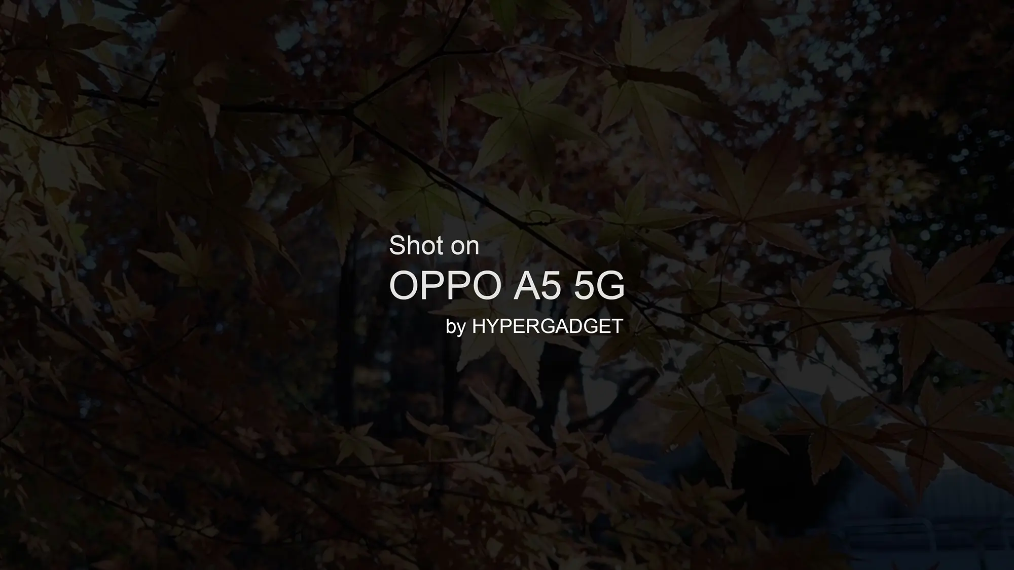 紅葉の背景に『Shot on OPPO A5 5G by HYPERGADGET』と表示された紹介用タイトル画像