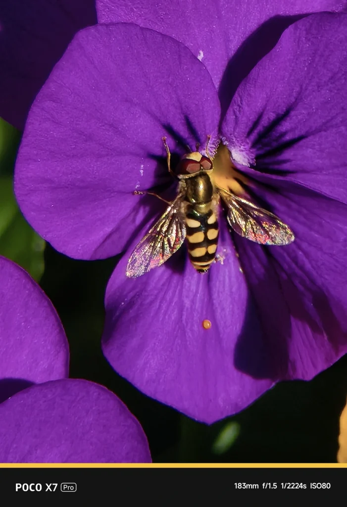 NEEWER LS-71を装着したPOCO X7 Proの超望遠ショット。アプリ表示183mm・実効焦点距離 約302mm相当。デジタルズームの劣化を抑えた鮮明な質感。