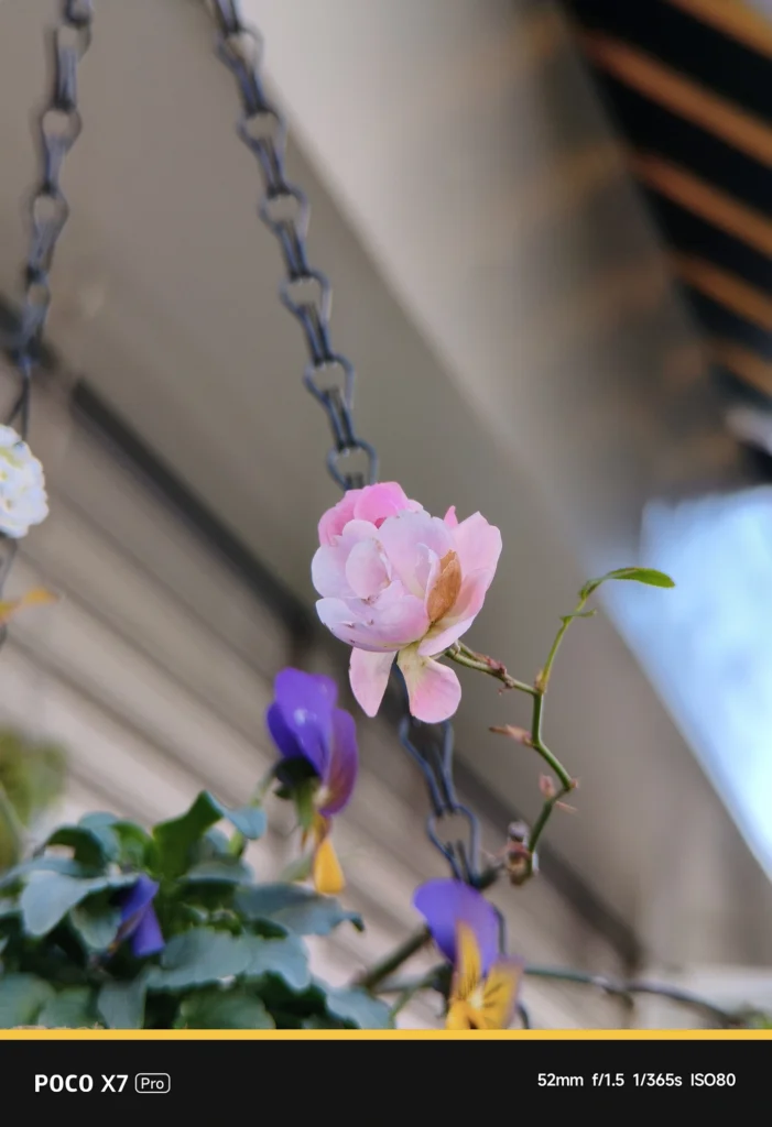 NEEWER 58mm望遠レンズ装着時のPOCO X7 Pro実写サンプル。表示52mm・実効焦点距離 約86mm相当。背景を光学的にぼかし、吊るされた小花を際立たせた描写。
