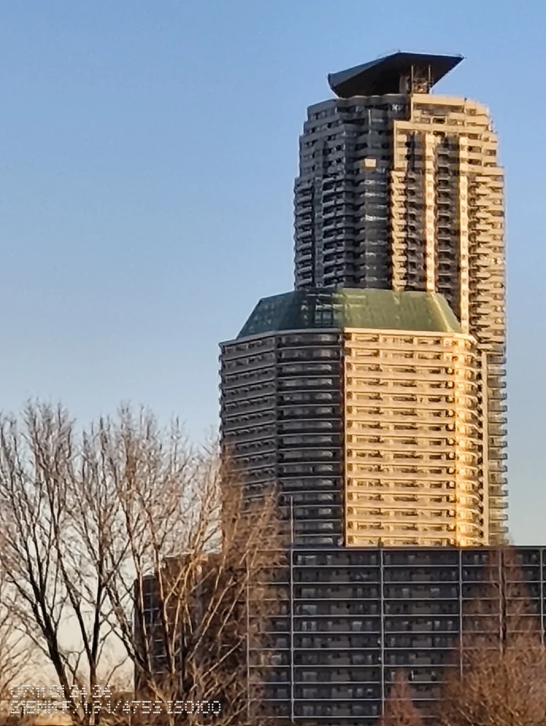 Nothing Phone (3a) Lite/カメラ:メイン(広角)約9倍ズーム/焦点距離:215mm相当/内容:遠景の高層ビルをさらに寄せて輪郭と窓列を強調し、枝の重なりと湖面の反射が距離感を際立たせる