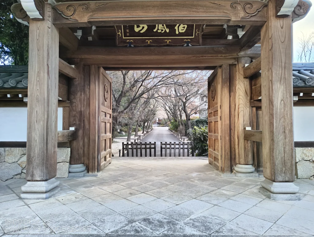 Nothing Phone (3a) Liteで撮影した、木造の山門越しに参道が伸びる寺院の入口風景