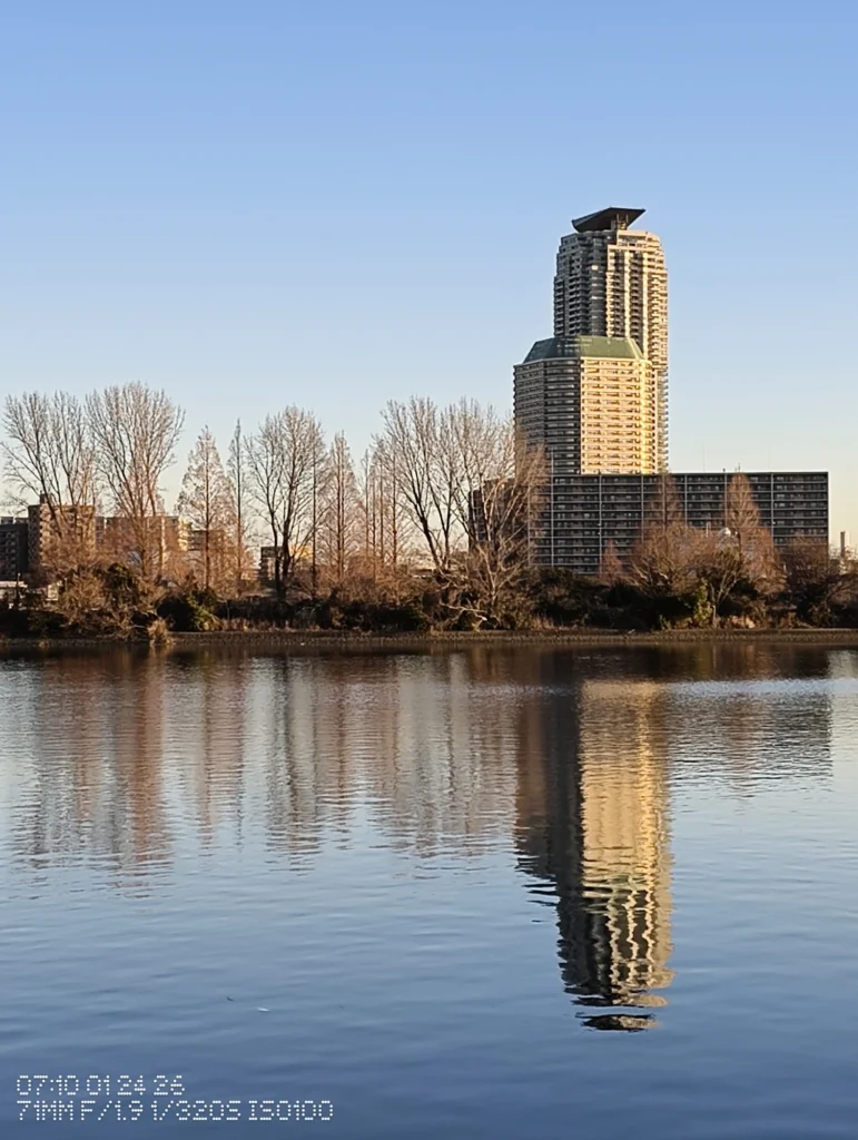 Nothing Phone (3a) Lite/カメラ:メイン(広角)約3倍ズーム/焦点距離:71mm相当/内容:遠景の高層ビルを大きく切り取り、木立の列と湖面の反射が層を作り、澄んだ空と冬の空気感を伝える