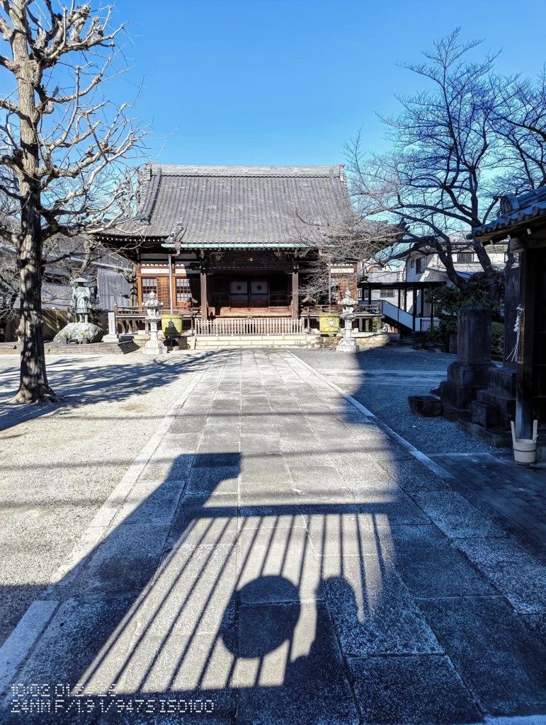 Nothing Phone (3a) Liteで撮影した、木造の鳥居と参道を正面から捉えた境内の風景