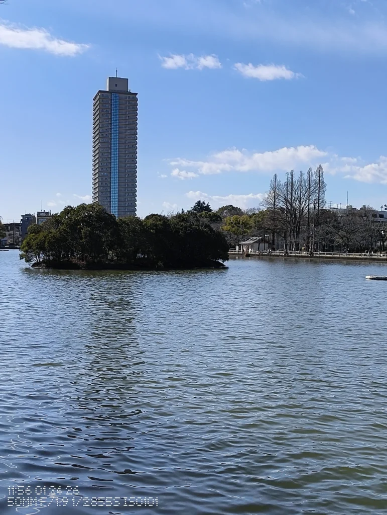 Nothing Phone (3a) Lite/カメラ:メイン(広角)2倍ズーム/焦点距離:50mm相当/内容:池の水面と小さな島を望遠寄りに切り取り、奥に高層建物が立つ日中屋外の2倍ズーム作例