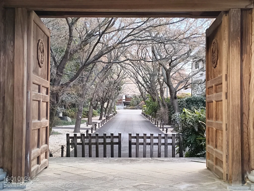 Nothing Phone (3a) Lite/カメラ:メイン(広角)2倍ズーム/焦点距離:50mm相当/内容:木造の門の内側から参道を見通し、並木と柵が奥へ続く様子を捉えた屋外の2倍ズーム作例