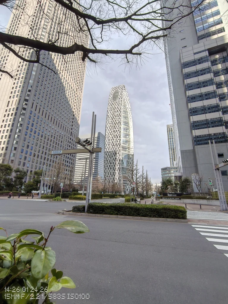 Nothing Phone (3a) Lite/超広角(15mm相当)、白い格子状の高層ビルを正面に、交差点と並木が広がる新宿の街並み、車道標示も見える