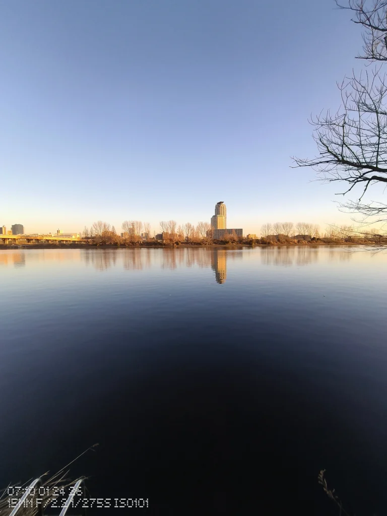 Nothing Phone (3a) Lite/超広角(15mm相当)、静かな水面に高層ビルが反射し、冬枯れの並木と青空が広がる河畔の眺め、柔らかな光
