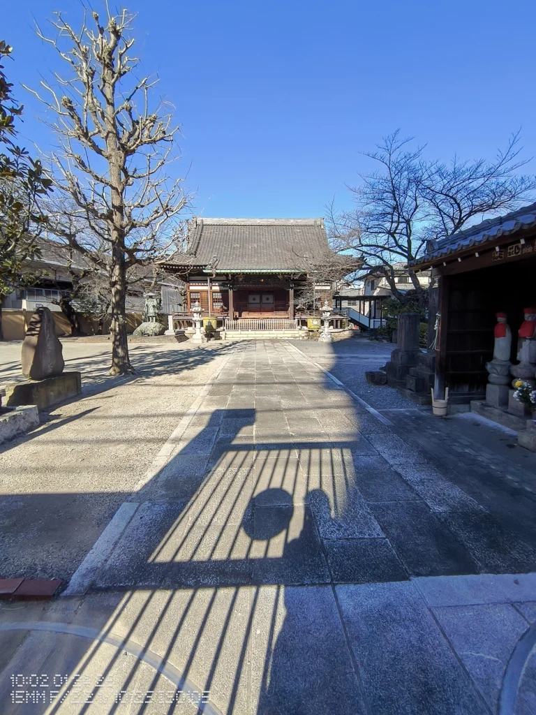 Nothing Phone (3a) Lite/超広角(15mm相当)、石畳の参道と本堂を正面に捉え、青空と冬木の影が伸びる寺院の境内、参道の直線が強調