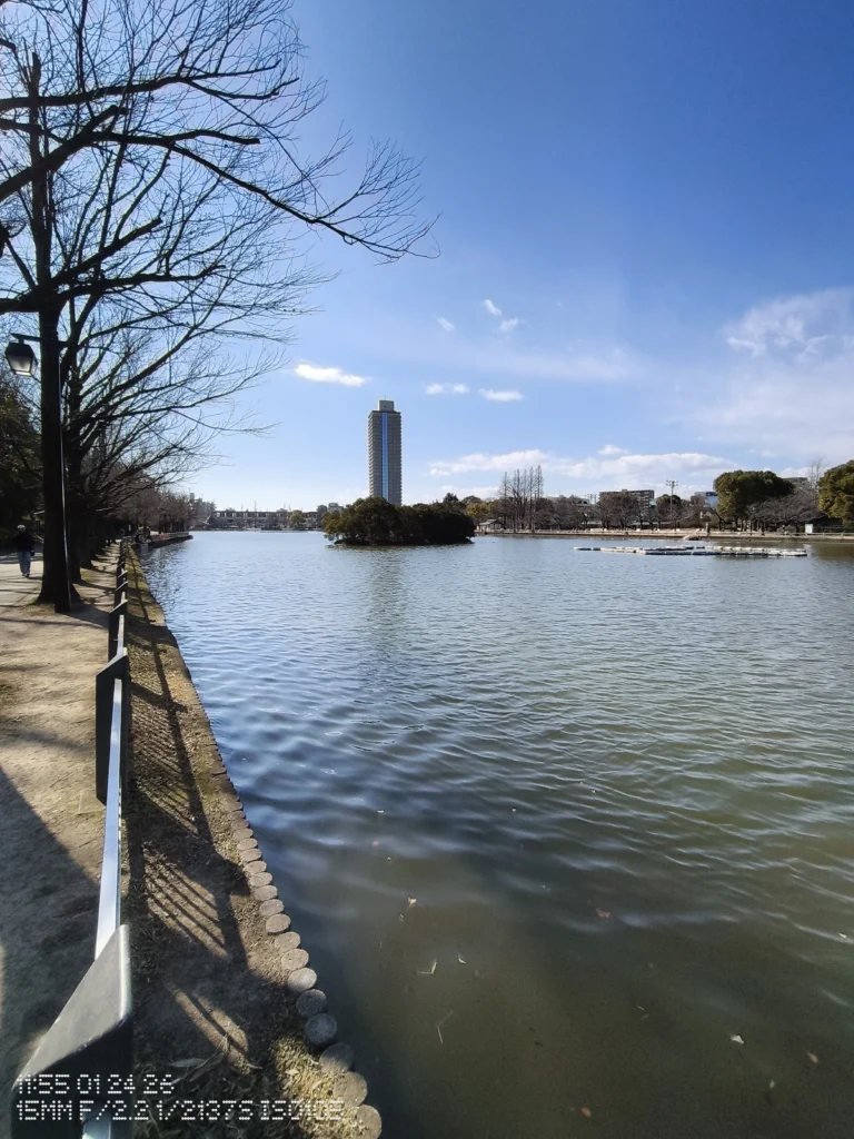 Nothing Phone (3a) Lite/超広角(15mm相当)、遊歩道の柵越しに池を見渡し、中央の島と遠景の高層塔が立つ公園風景、水面の波紋が細かい