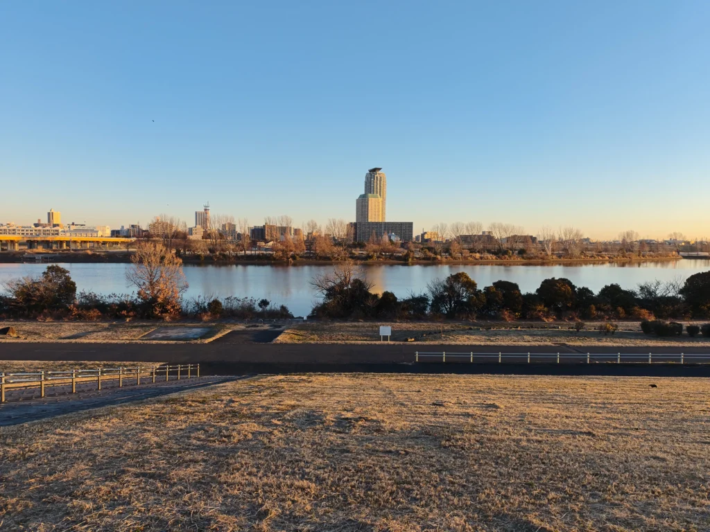 冬の枯れ草が広がる河川敷から望む都市の風景。澄み渡る青空と遠くのビル群。Redmi Note 15 Pro 5G(2億画素モード)で撮影。