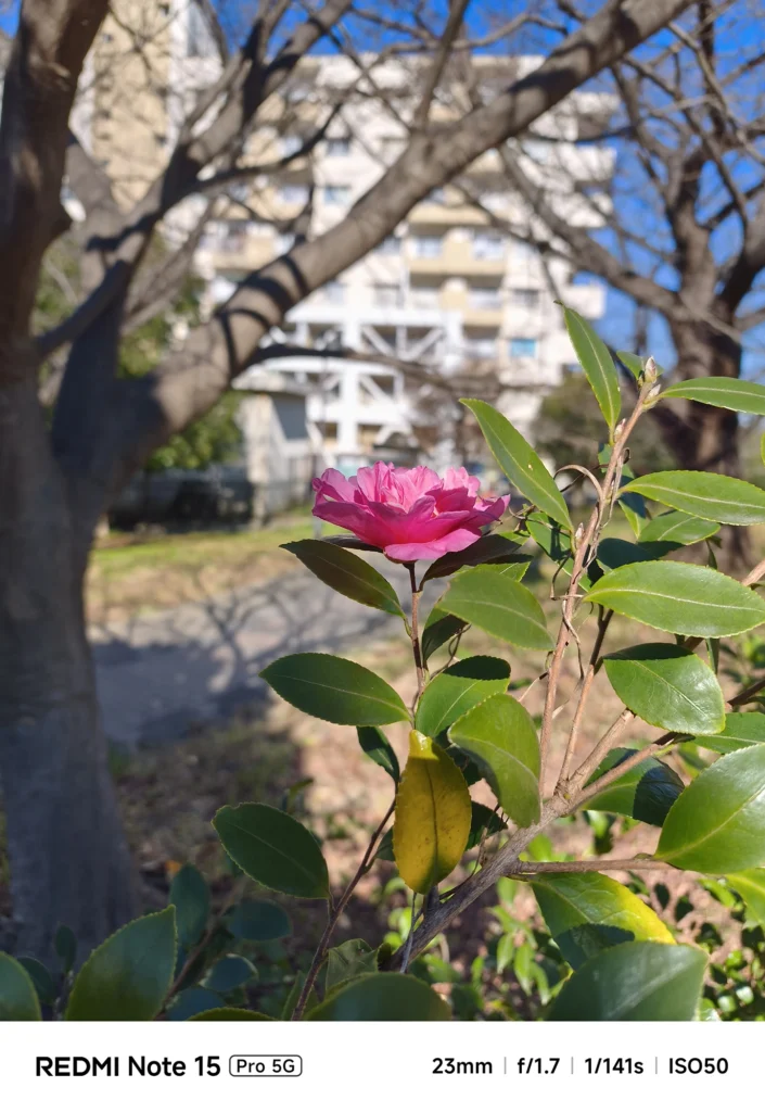 Redmi Note 15 Pro 5G によるポートレート風の植物撮影。23mm f/1.7の明るいレンズが作り出す自然な玉ボケの検証。