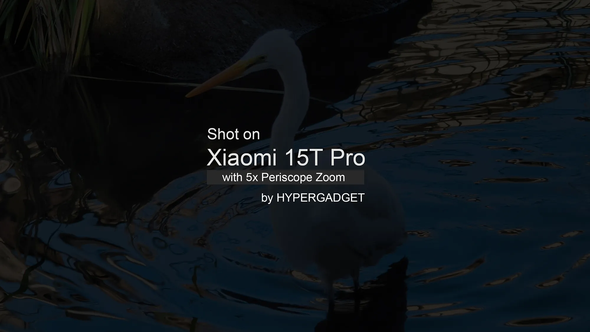 Xiaomi 15T Proの5倍ペリスコープ望遠サンプルのタイトル画像(Shot on Xiaomi 15T Pro with 5x Periscope Zoom/HYPERGADGET)